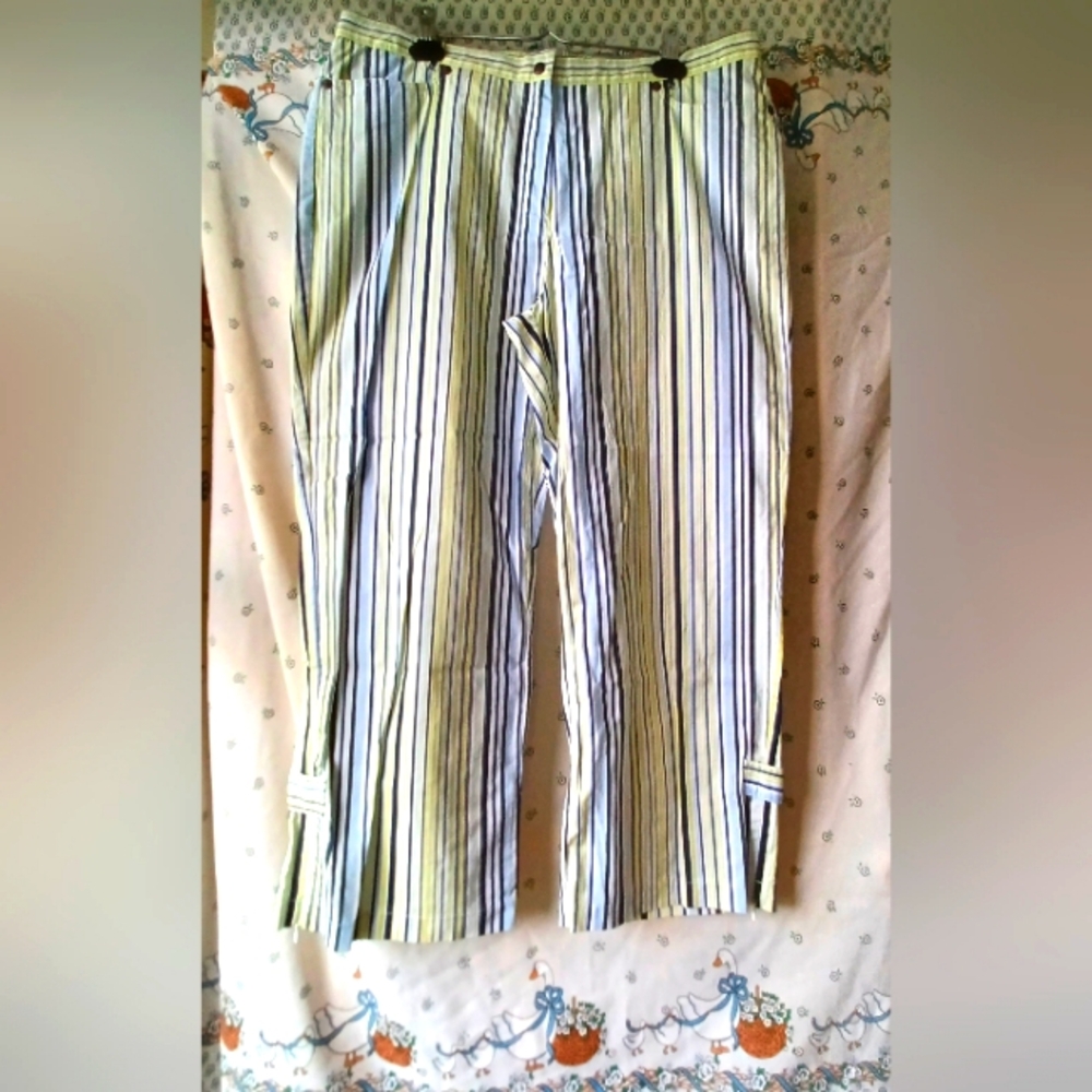 Gardengirl Striped 2000's Vicinni Woman's Capris